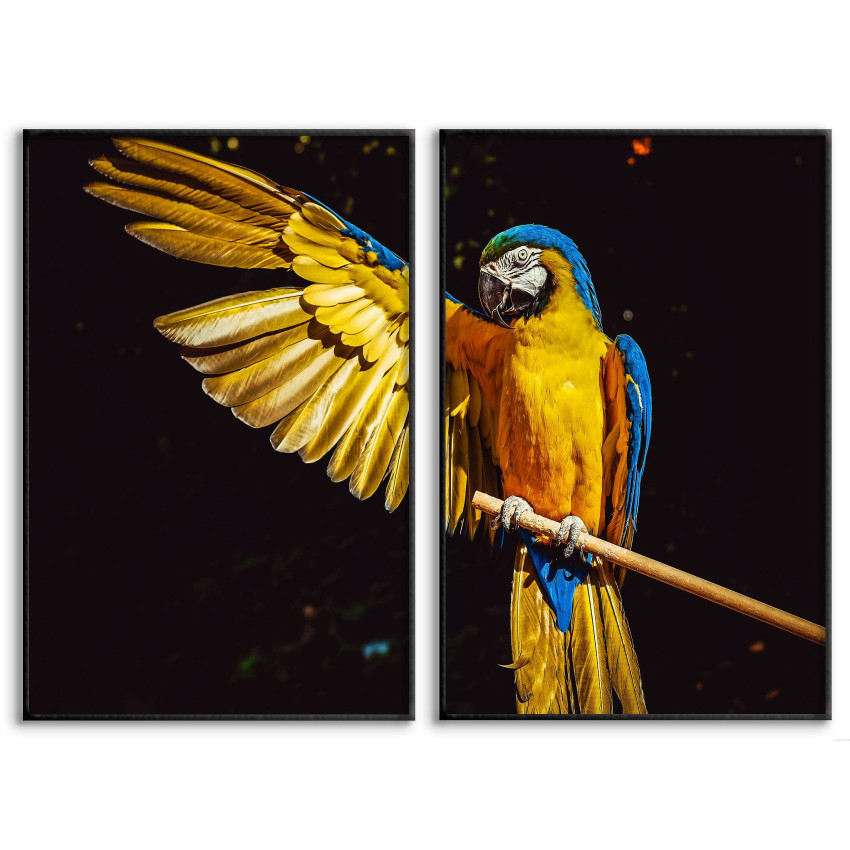 Cool Parrot - Poster in Two Pieces