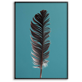 Enkel Fjäder - Turkos Poster