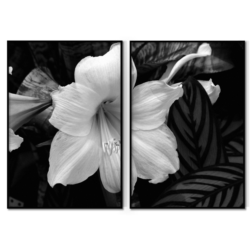 White Flower - Poster in Two Pieces