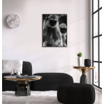 Apor - Cool Svartvit Poster 