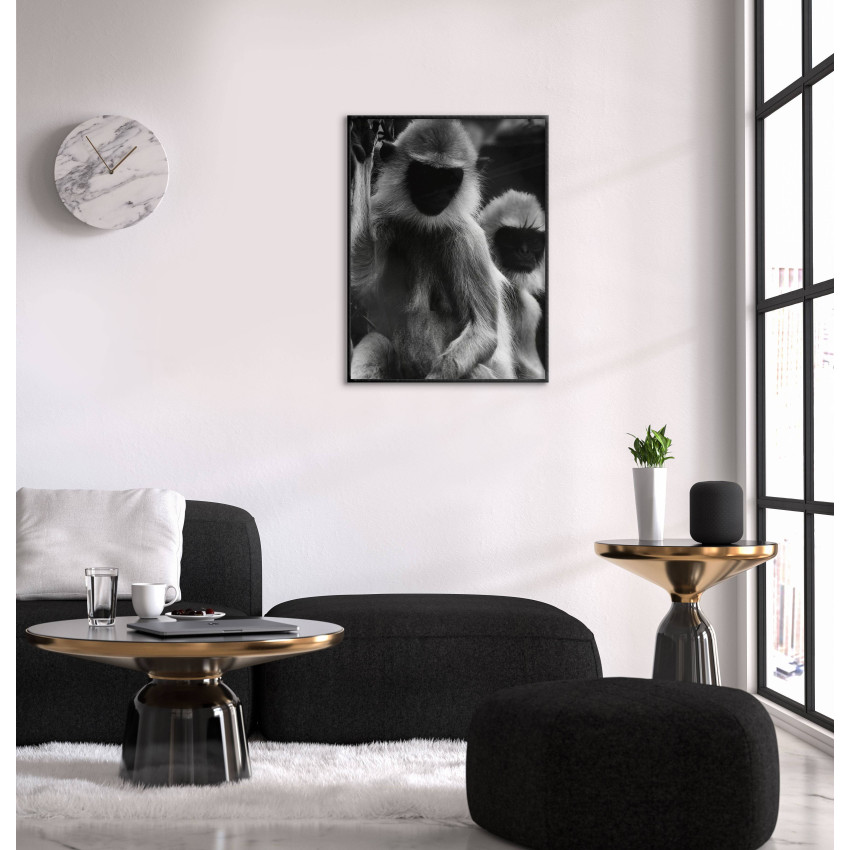 Apor - Cool Svartvit Poster 