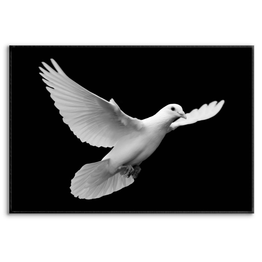 Beautiful Dove - Poster