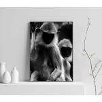 Apor - Cool Svartvit Poster 