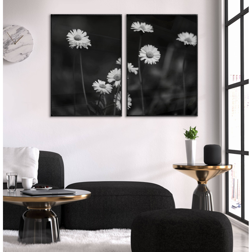 Vita blommor tusensköna - Svartvit poster i två delar