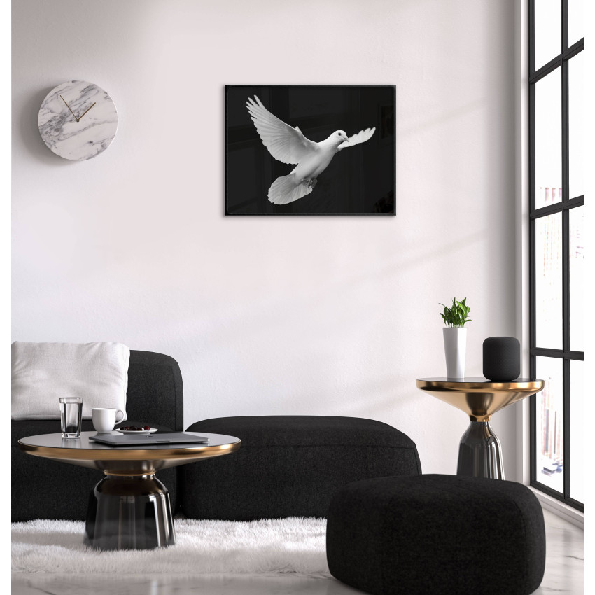 Beautiful Dove - Poster