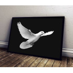 Beautiful Dove - Poster