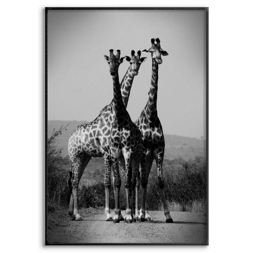 Giraffe - Simple black and white poster 