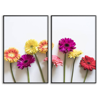 Enkla blommor - Tvådelat tavelset med vit bakgrund