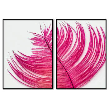 Pink Feather - Poster in Two Pieces