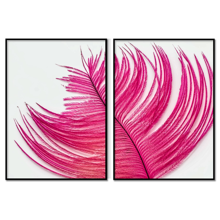 Pink Feather - Poster in Two Pieces