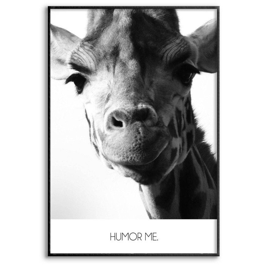Cool Giraff  "Humor me." - Svartvit Poster