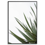 Green Leaves - Simple White Poster