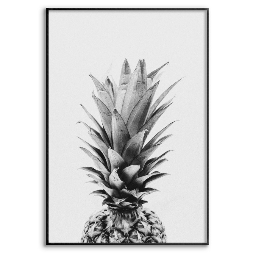 Simpel Ananas - Svartvit Poster