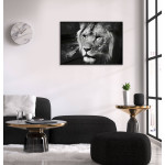 Lion - Black and White Poster