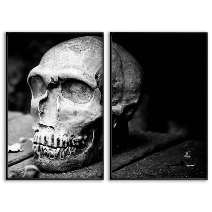 Cool Skull - Two Piece Poster