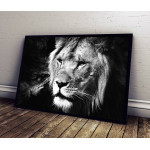 Lion - Black and White Poster