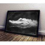 Krokodil - Svartvit Liggande Poster