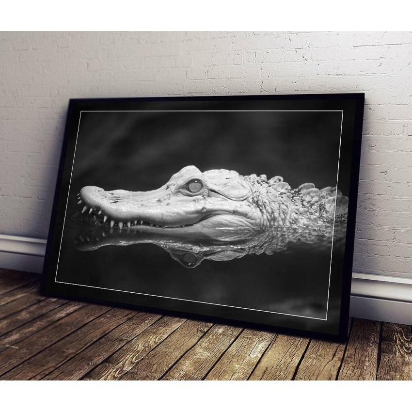 Krokodil - Svartvit Liggande Poster