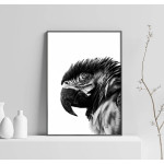 Parrot - Black and White Poster