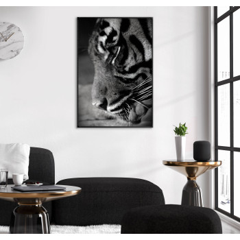 Tiger Close Up - Poster