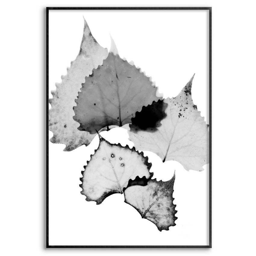 Löv och Grönska - Enkel Svartvit Botanisk Poster