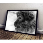 Cute Monkey - Simple Poster