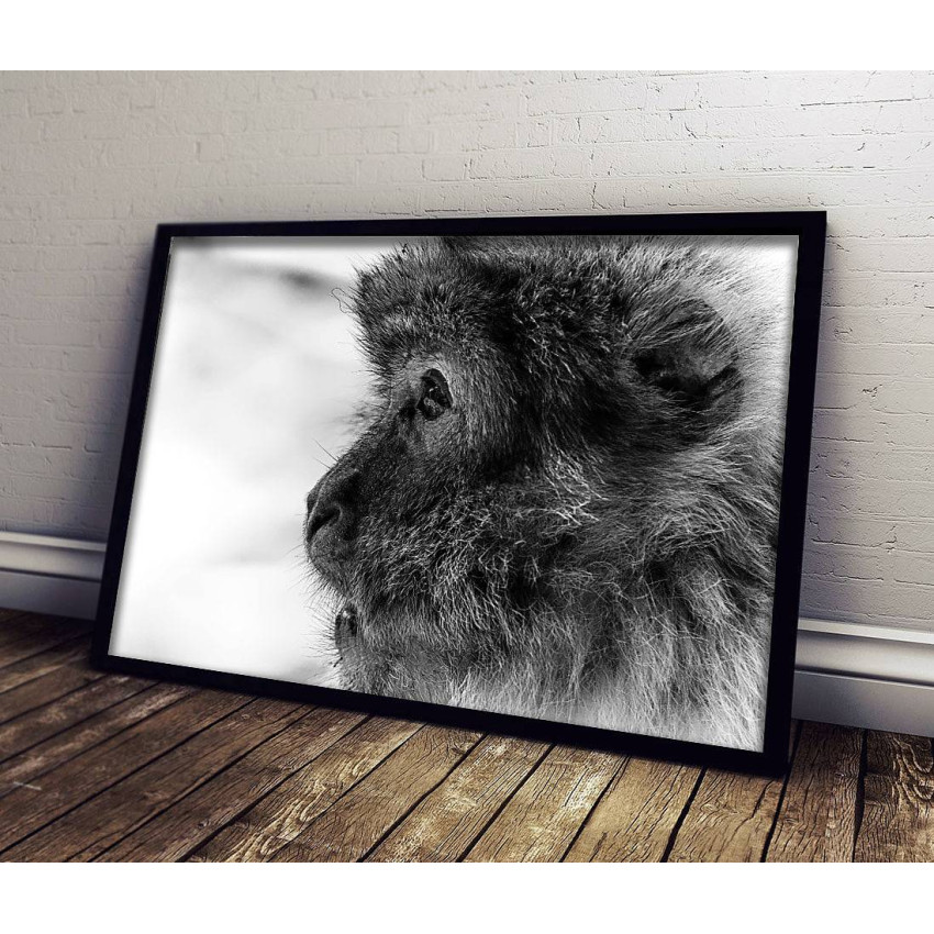 Cute Monkey - Simple Poster