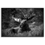 Moose - Simple Black and White Poster