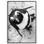 Cute Penguin - Simple Black and White Poster