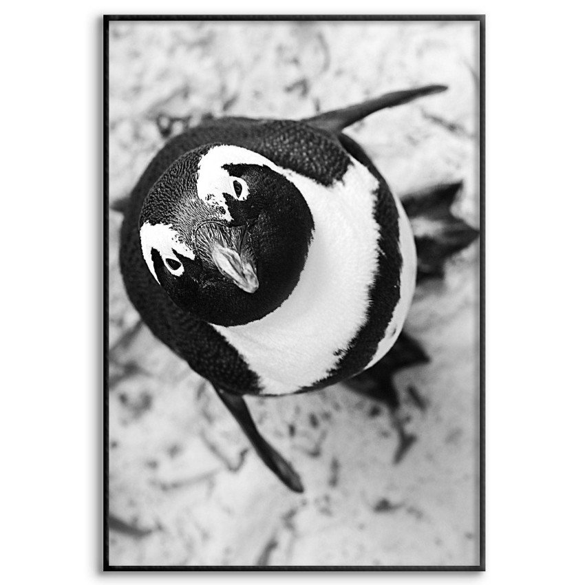Cute Penguin - Simple Black and White Poster