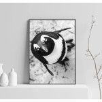 Cute Penguin - Simple Black and White Poster