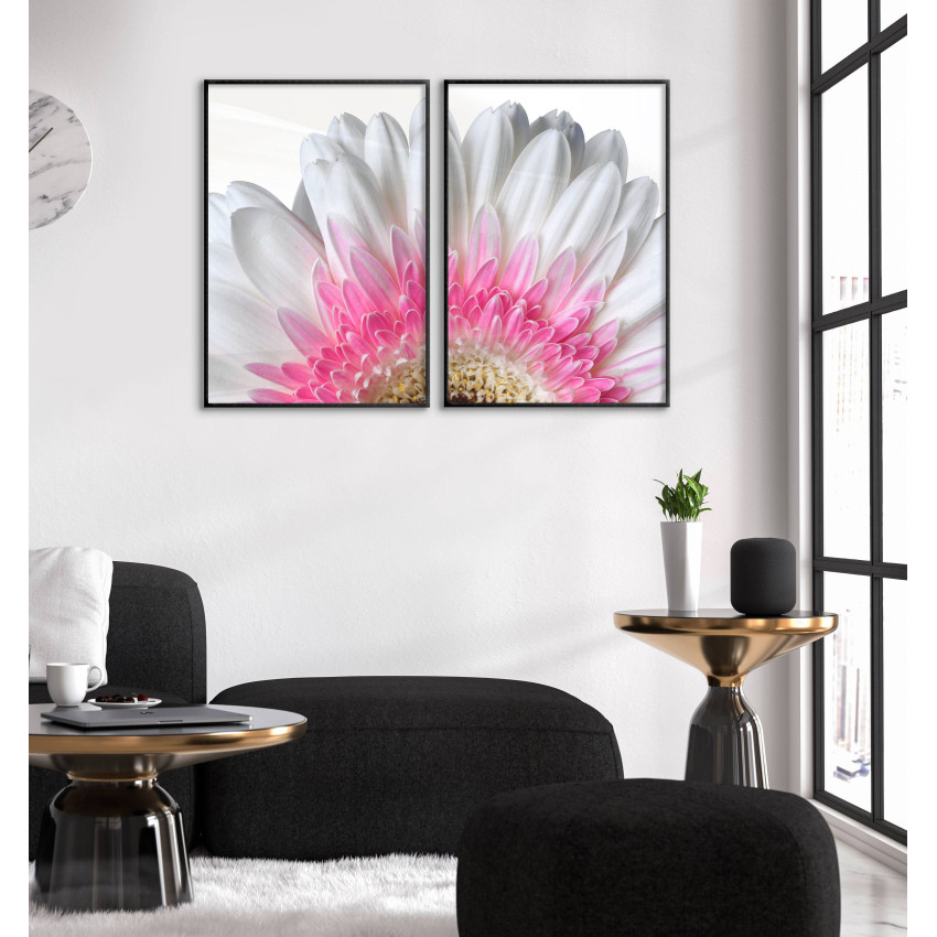 Pink / White Flower - Two Piece Poster