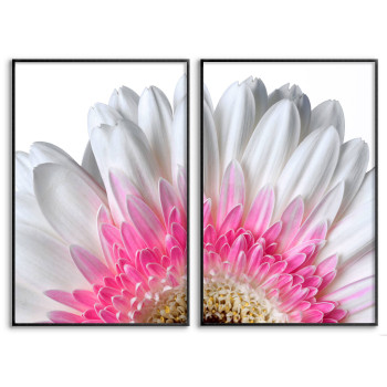 Rosa & vit blomma - Ljus tavla i två delar