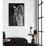 Horse Portrait - Black and White Poster