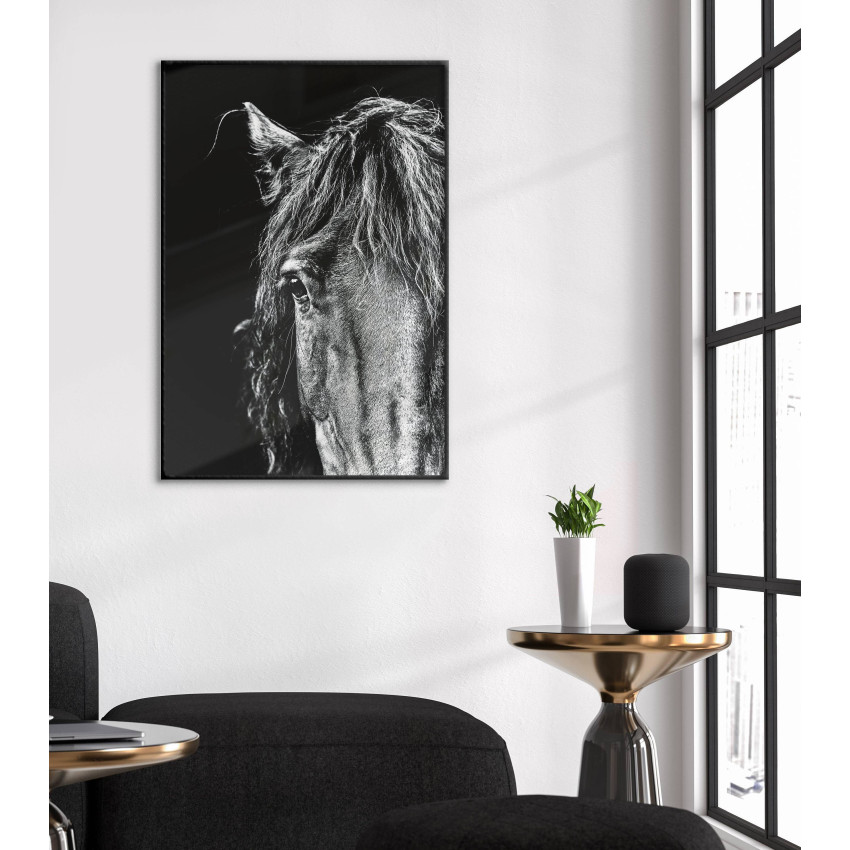 Horse Portrait - Black and White Poster