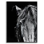 Horse Portrait - Black and White Poster