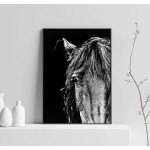 Horse Portrait - Black and White Poster
