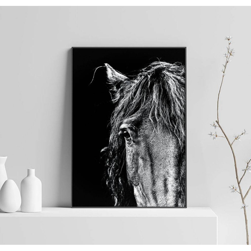 Horse Portrait - Black and White Poster