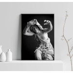 Staty Grekisk Gudinna - Svartvit Poster