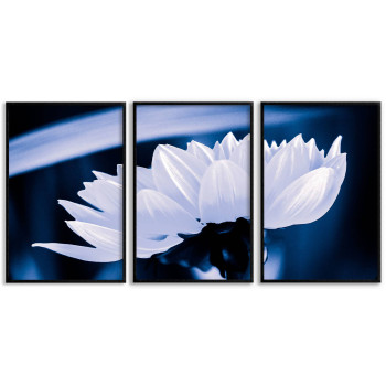 Vit vacker blomma - Tredelad växtplansch