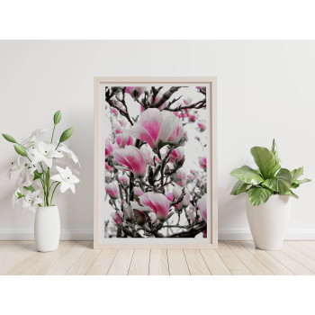 Rosa Magnolia Blommor - Simpel Poster