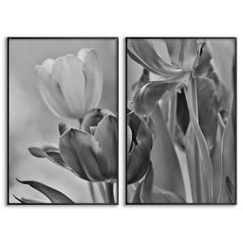 White Tulips - Two Piece Poster