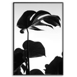 Silhuett - Simpel Botanisk Svartvit Växtplansch