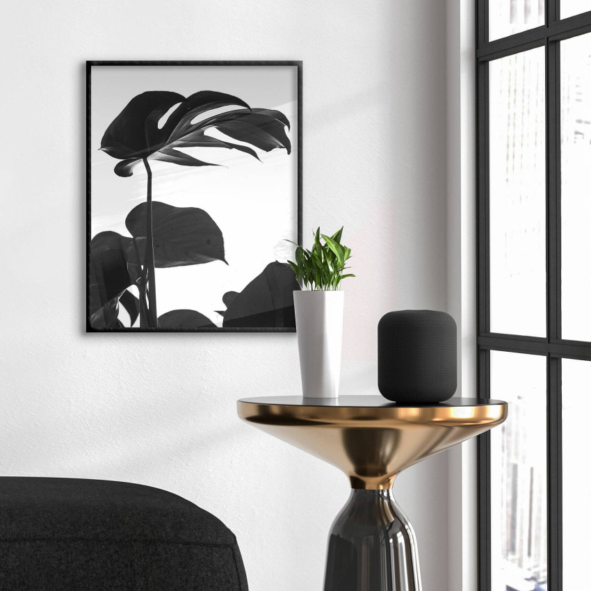 Silhuett - Simpel Botanisk Svartvit Växtplansch