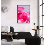 Pink Rose - Simple Botanical Poster