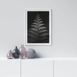 Botanisk Växtplansch - Enkla Blad