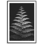 Botanisk Växtplansch - Enkla Blad