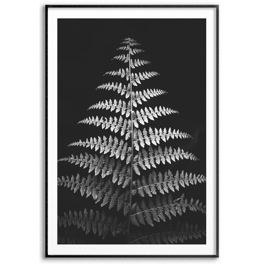 Botanisk Växtplansch - Enkla Blad