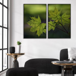 Gröna lönnlöv - Botanisk växtposter i två delar