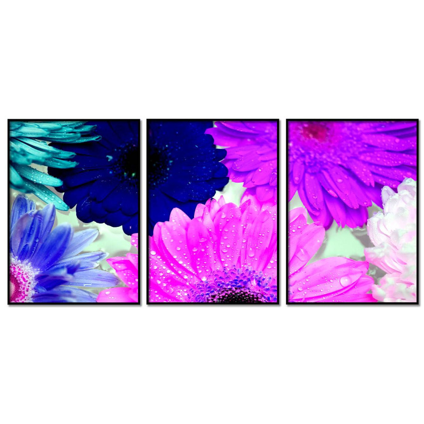 Blue, Pink & Purple Flowers - Three Piece Poster